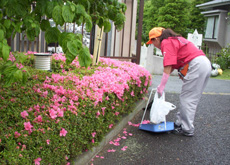 エントランス清掃